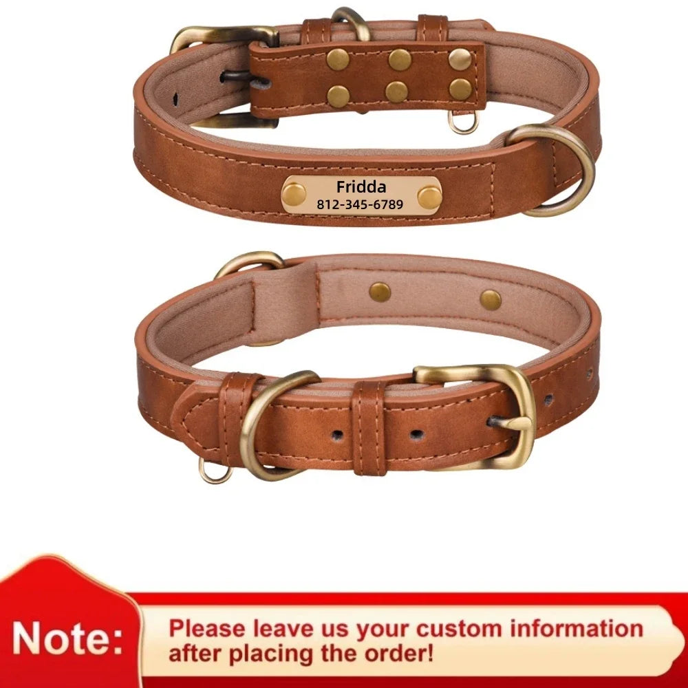 Custom Leather Dog Collar