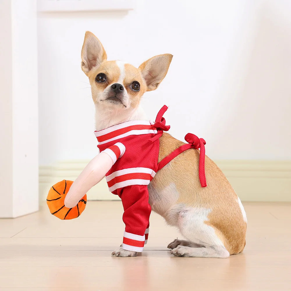 Dog Basketball costum