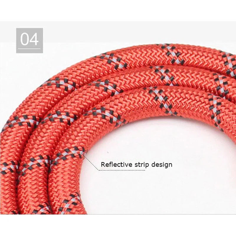Reflective Dog Lead