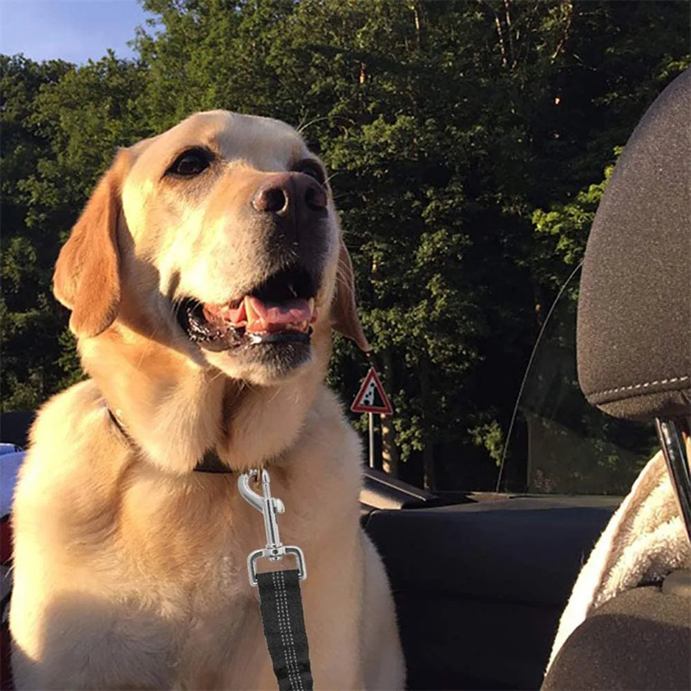 Dog Car Seat Belt