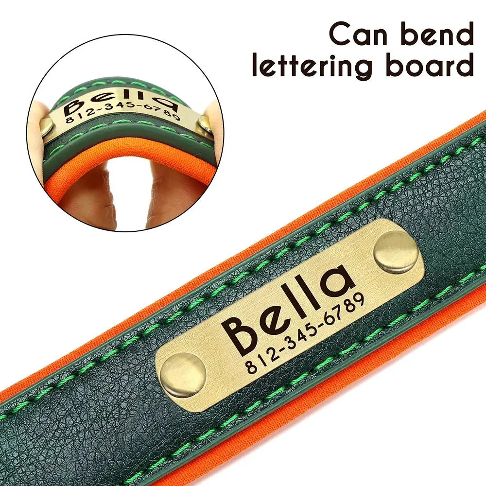 Custom Leather Dog Collar