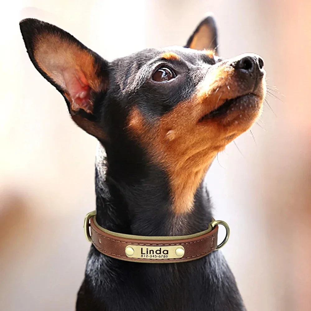 Custom Leather Dog Collar
