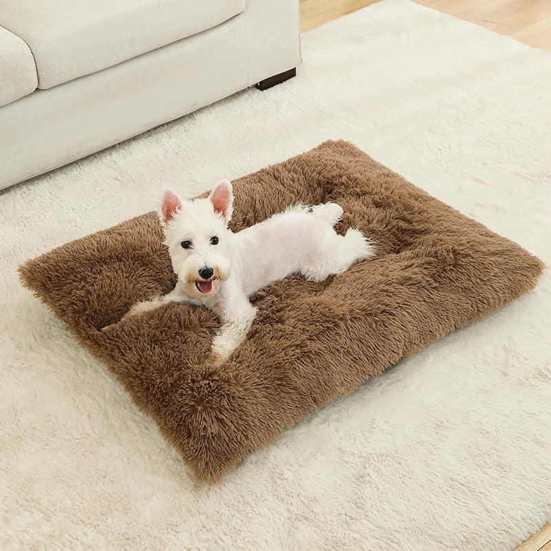 Soft Plush Dog Beds