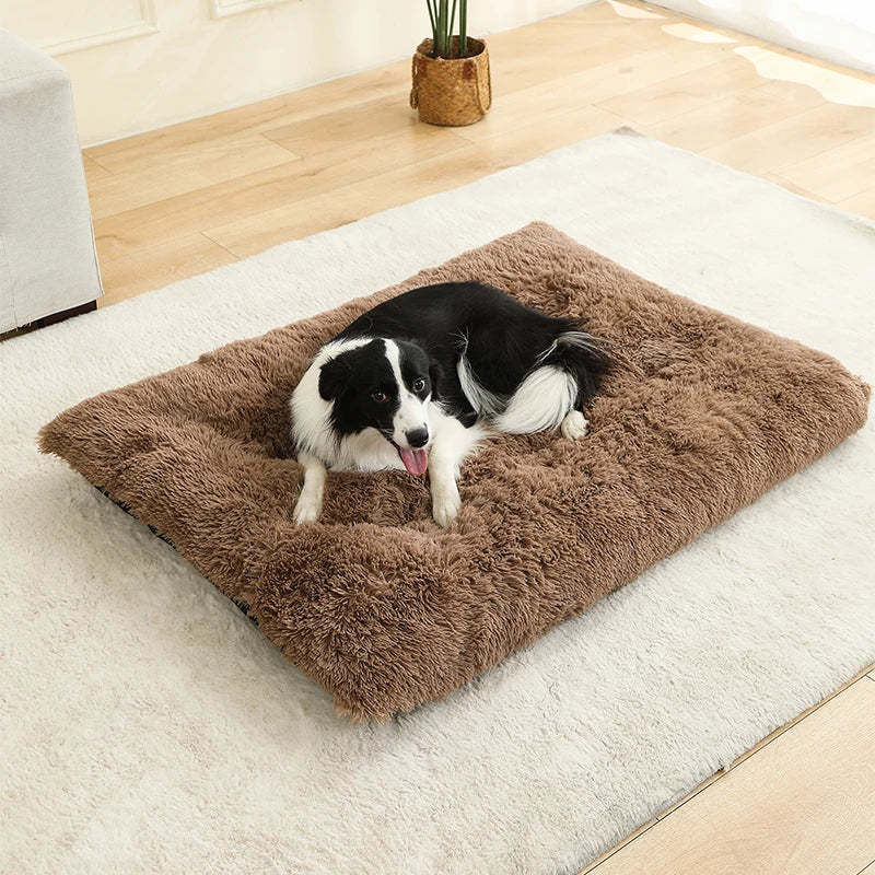 Soft Plush Dog Beds