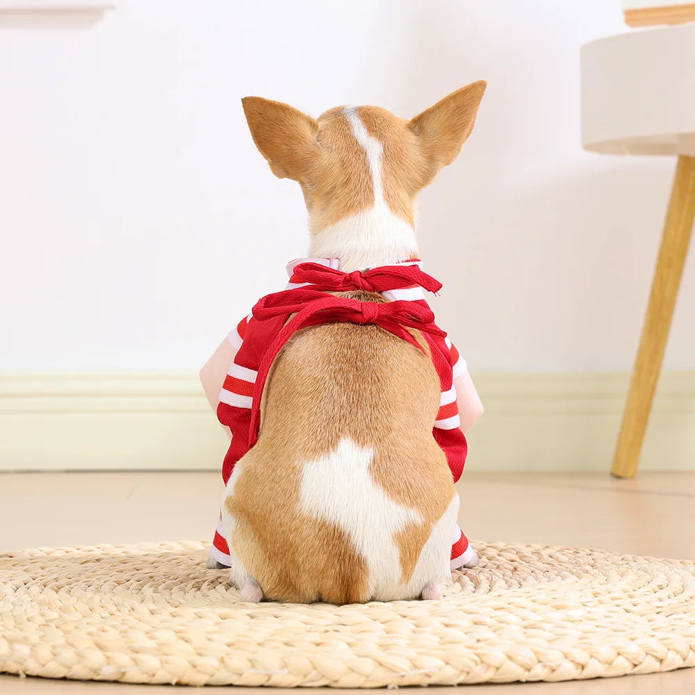 Dog Basketball costum
