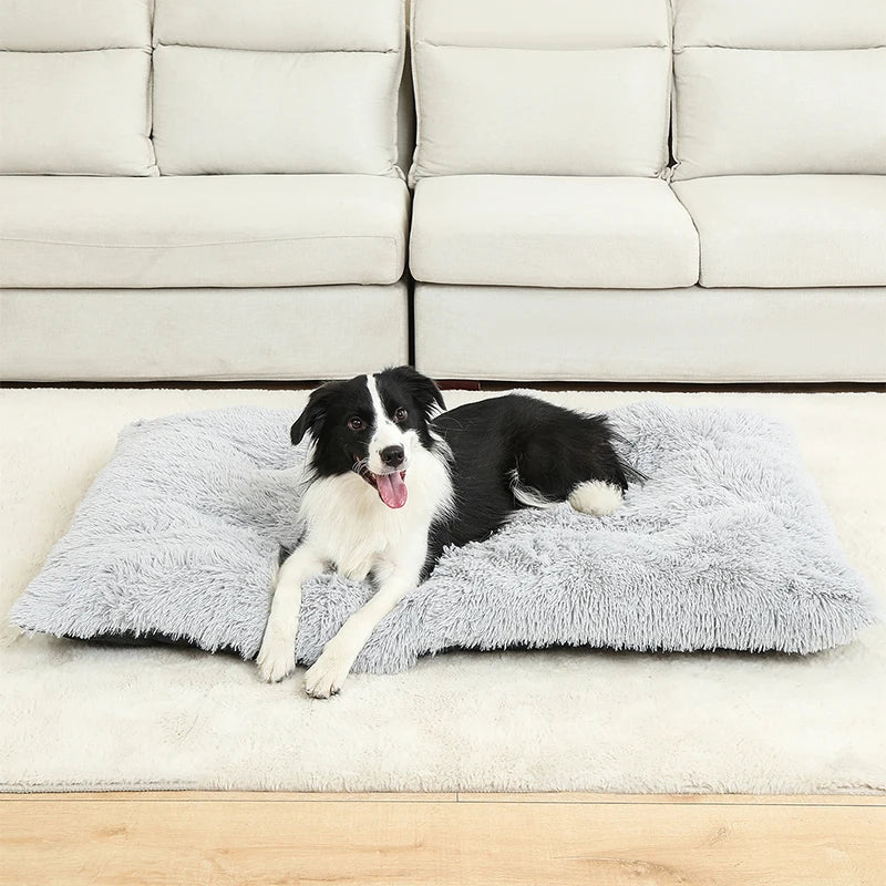 Soft Plush Dog Beds