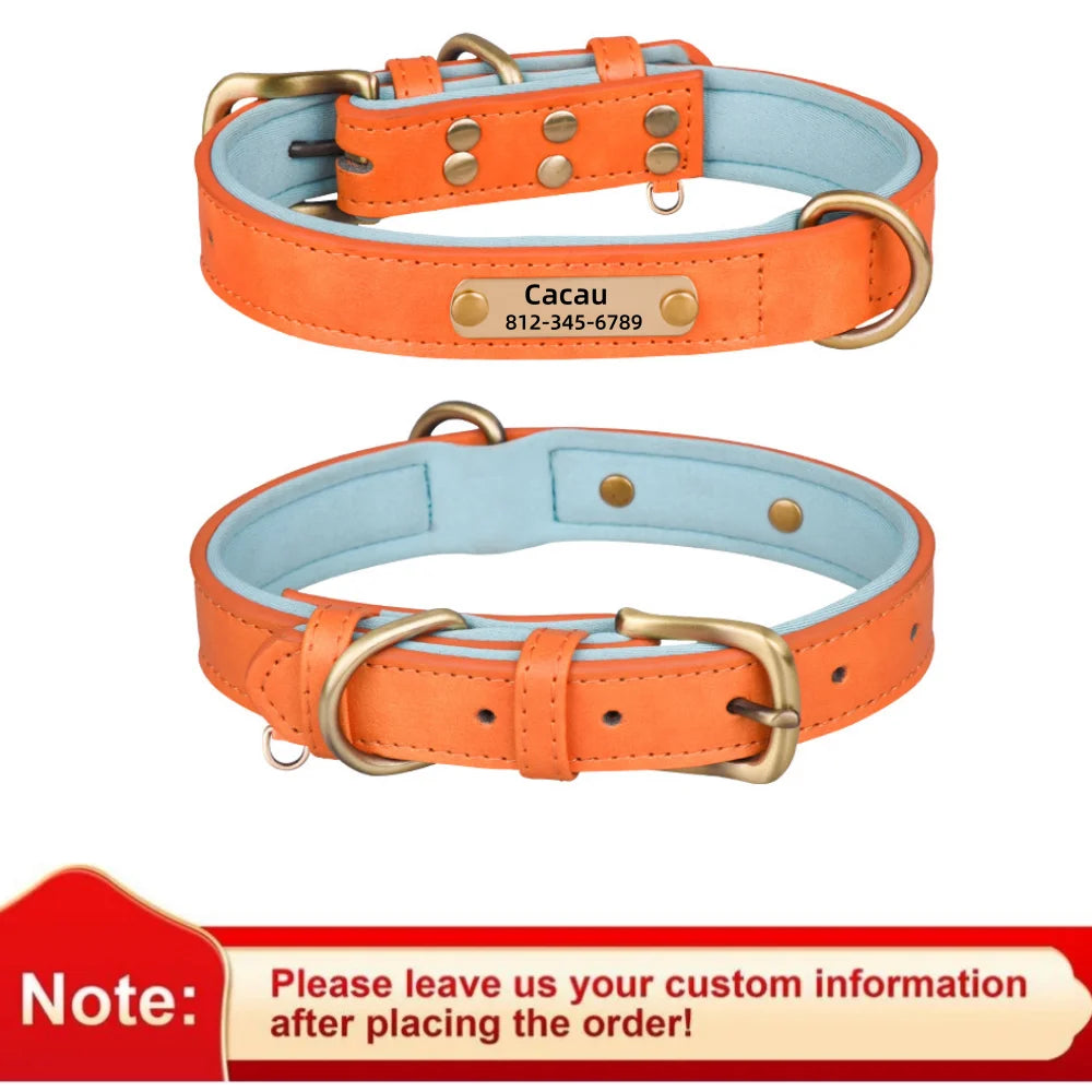 Custom Leather Dog Collar