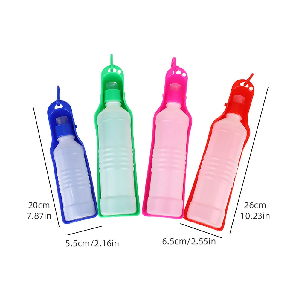 Car Dog Water Bottle