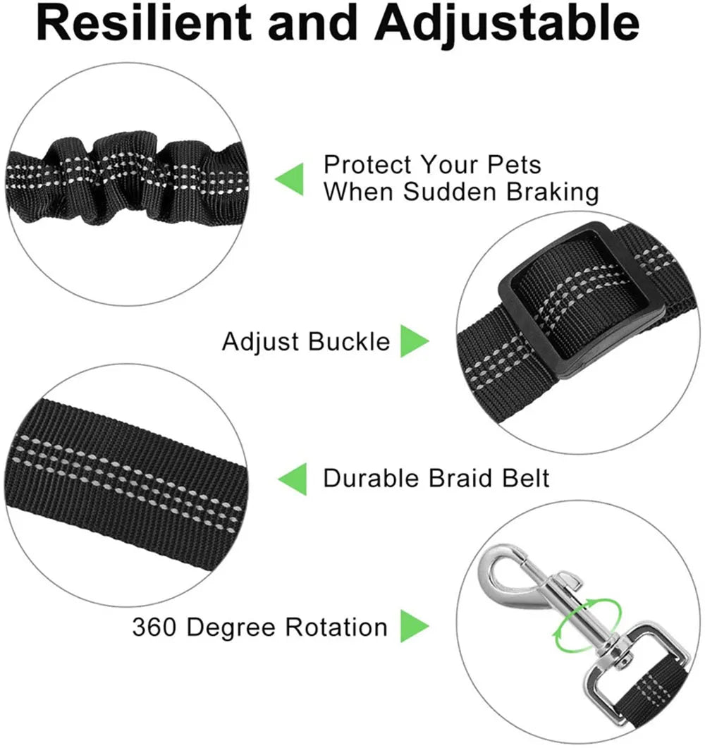Dog Car Seat Belt