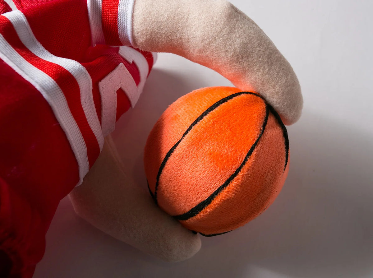 Dog Basketball costum