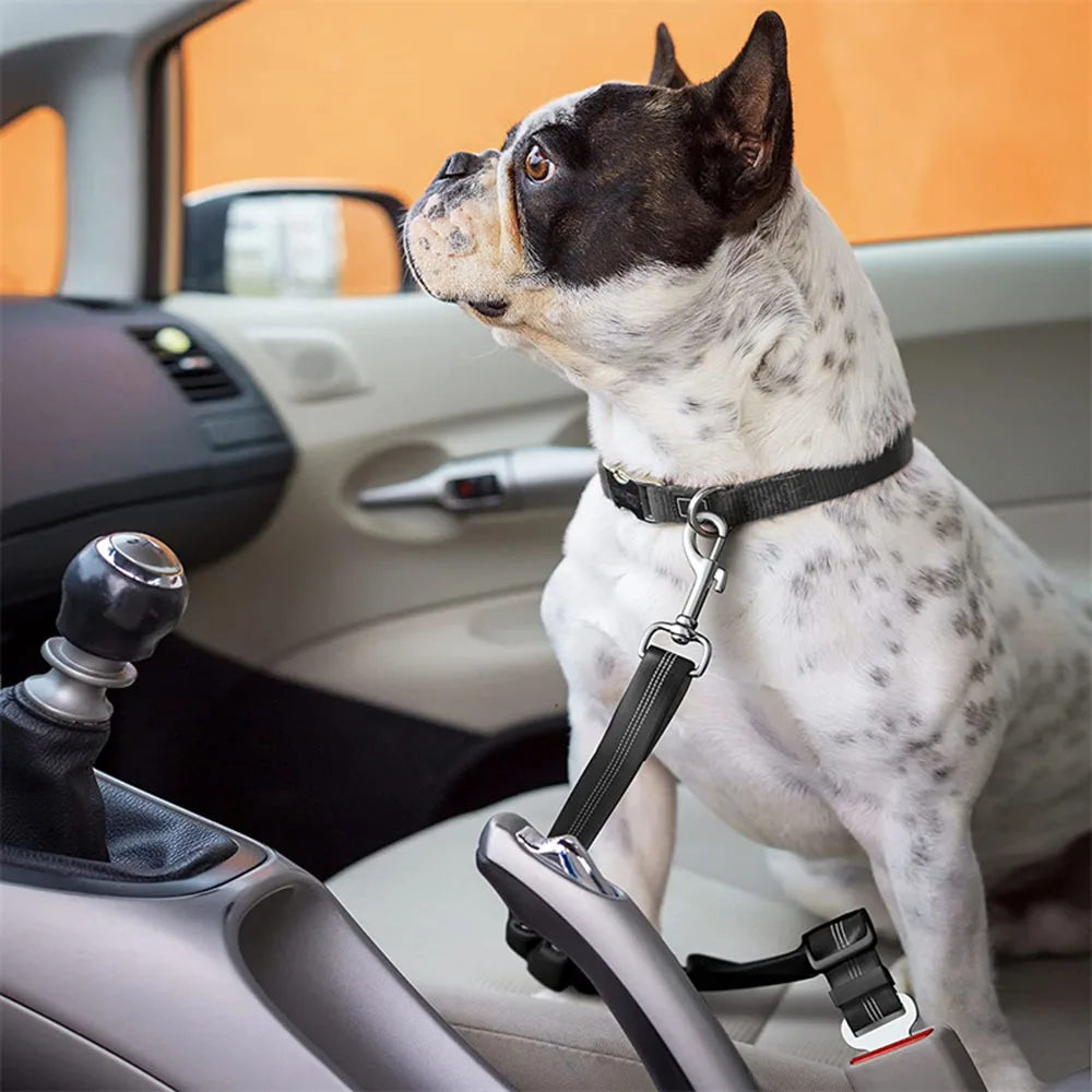 Dog Car Seat Belt