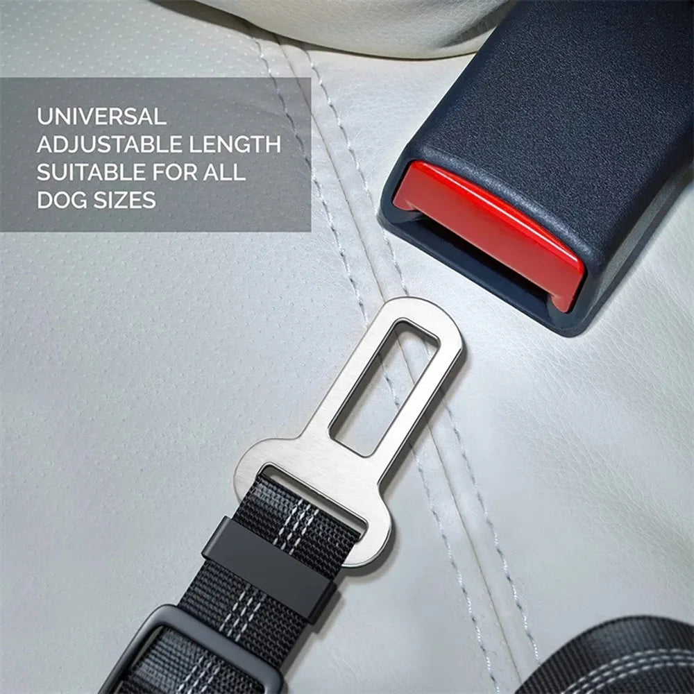 Dog Car Seat Belt