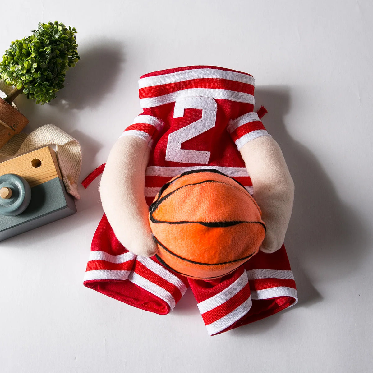 Dog Basketball costum
