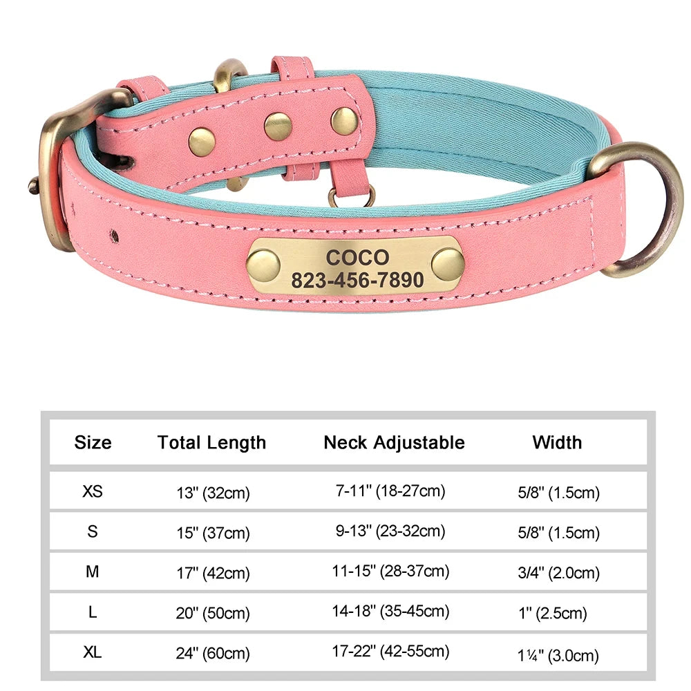 Custom Leather Dog Collar