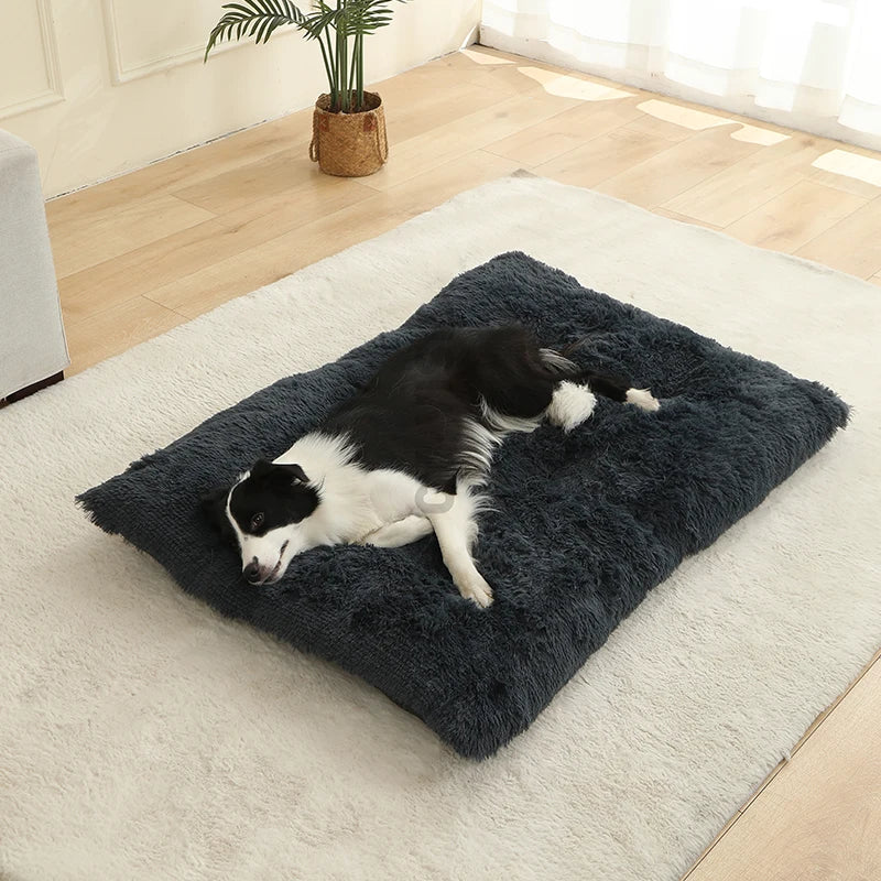 Soft Plush Dog Beds