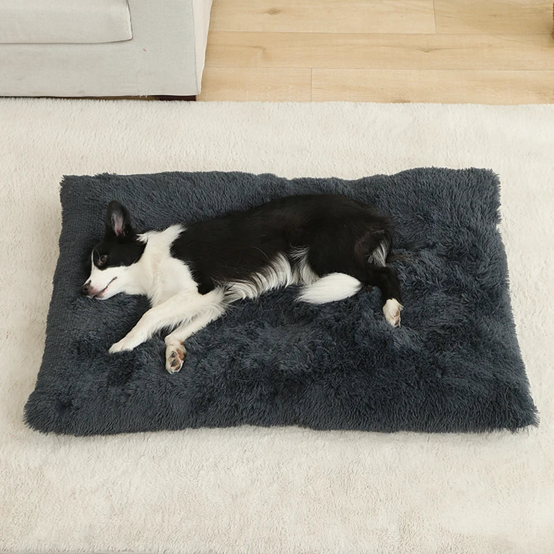 Soft Plush Dog Beds