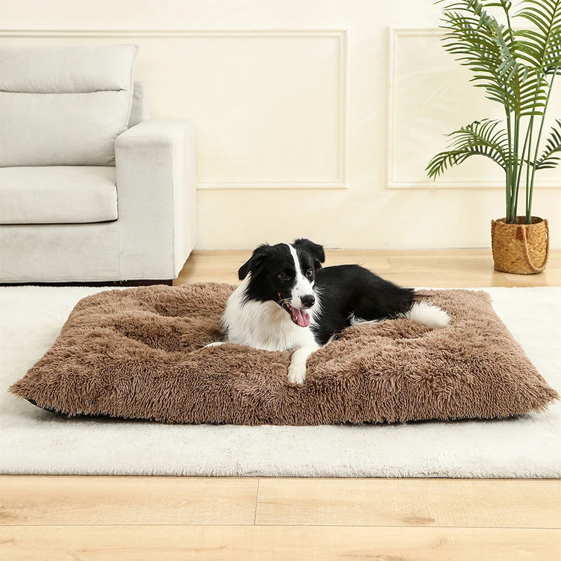 Soft Plush Dog Beds