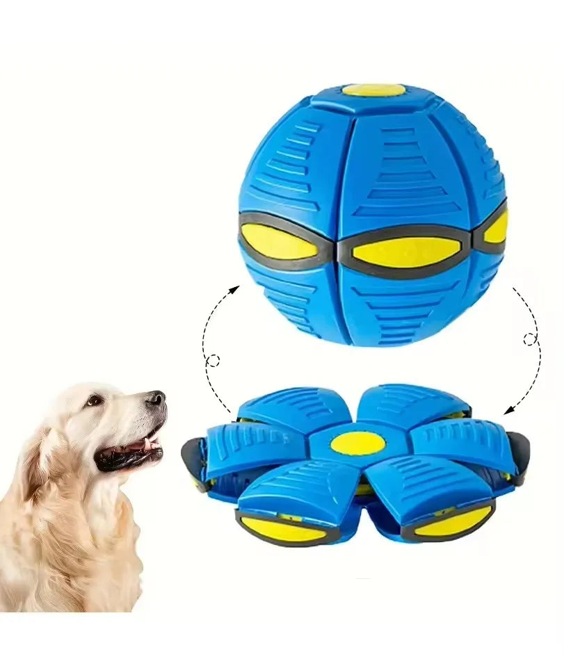 Flying Ball Dog Toy