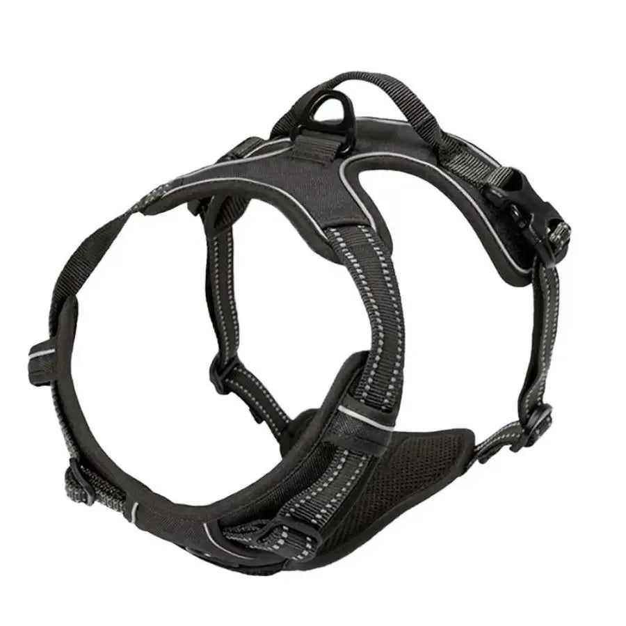 D-Ring No Pull Harness