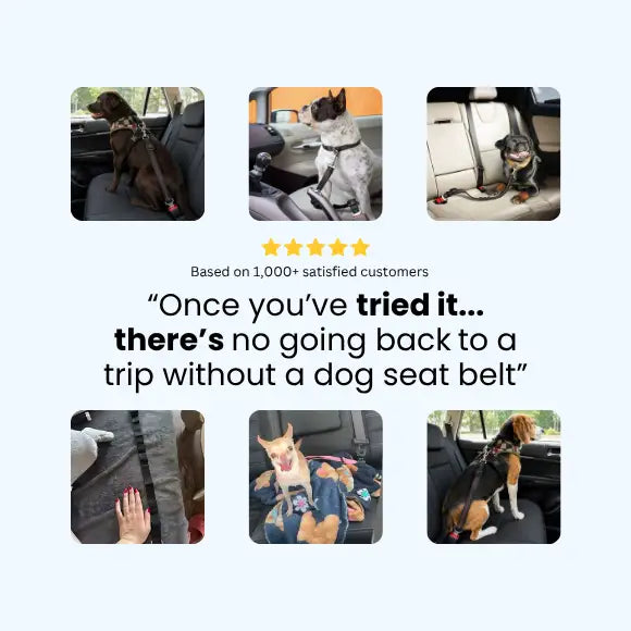 FREE Dog Car Seat Belt
