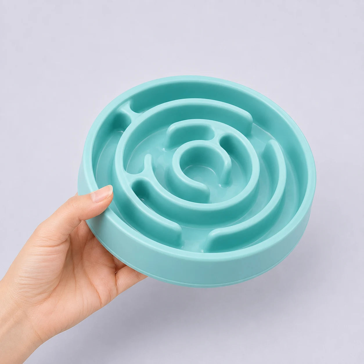 Slow Feeder Dog Bowl