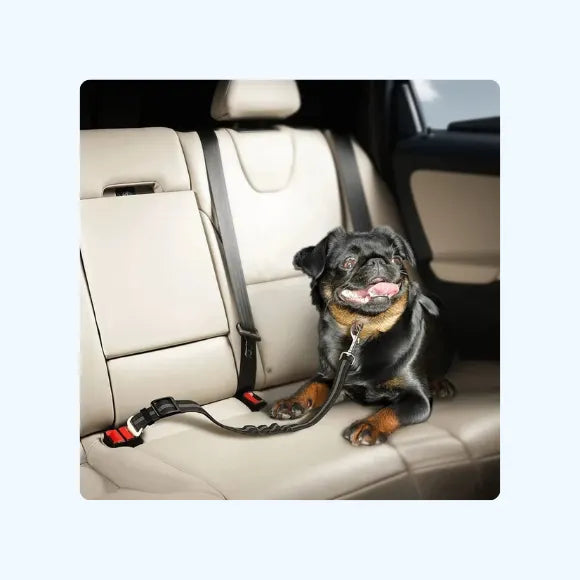 FREE Dog Car Seat Belt