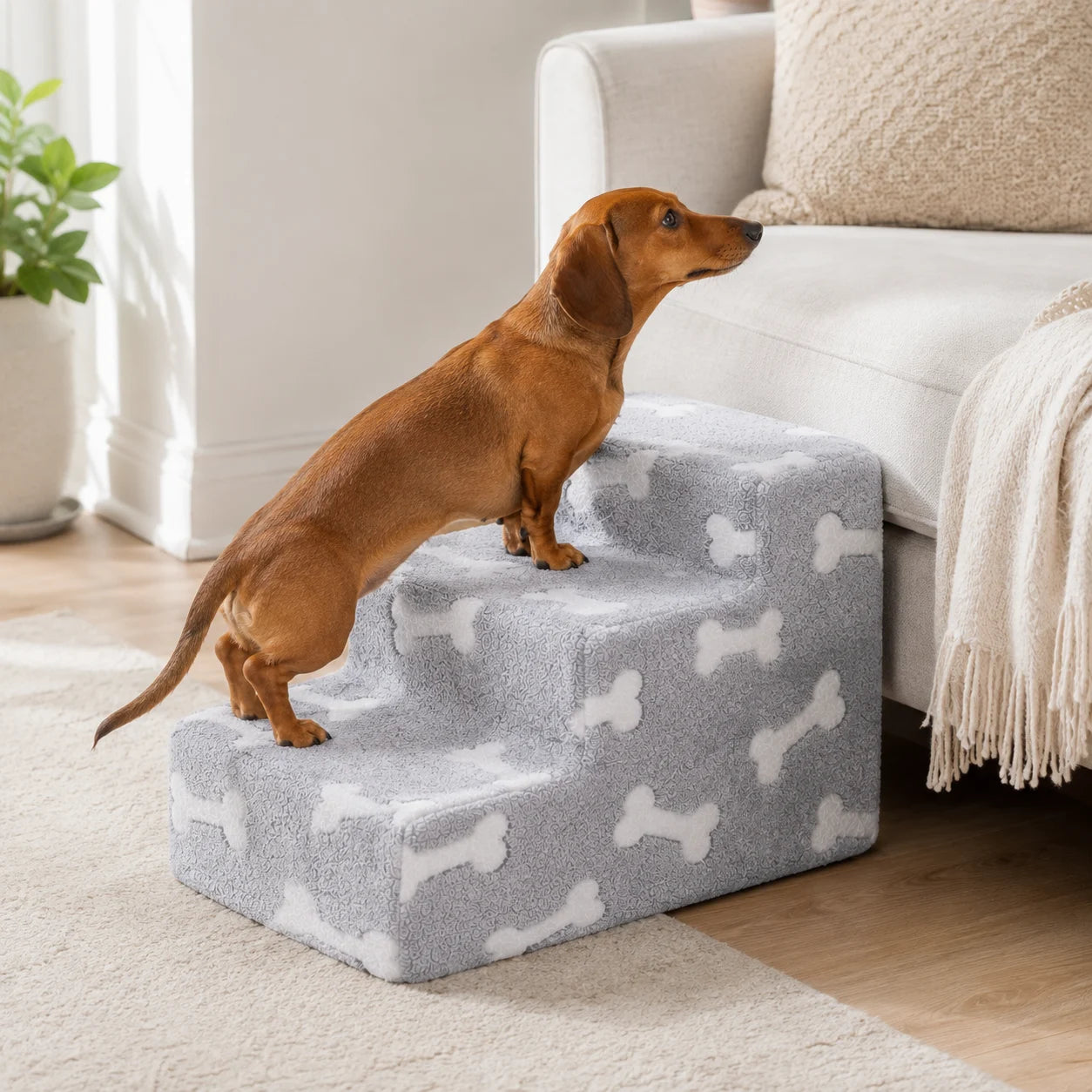 Sofa & Bed Dogs Stairs