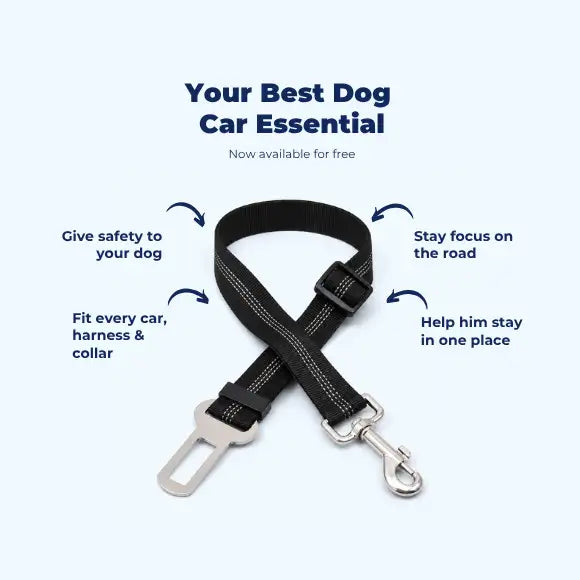 FREE Dog Car Seat Belt