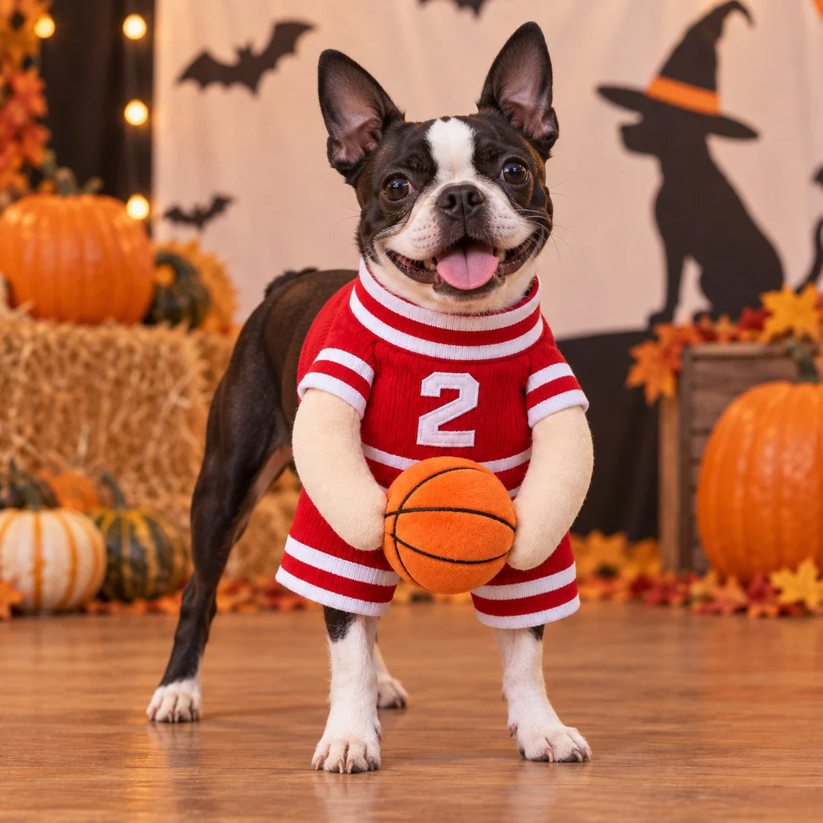Dog Basketball costum