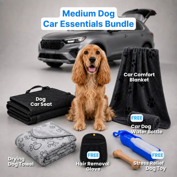Dog Car Essentials Bundle