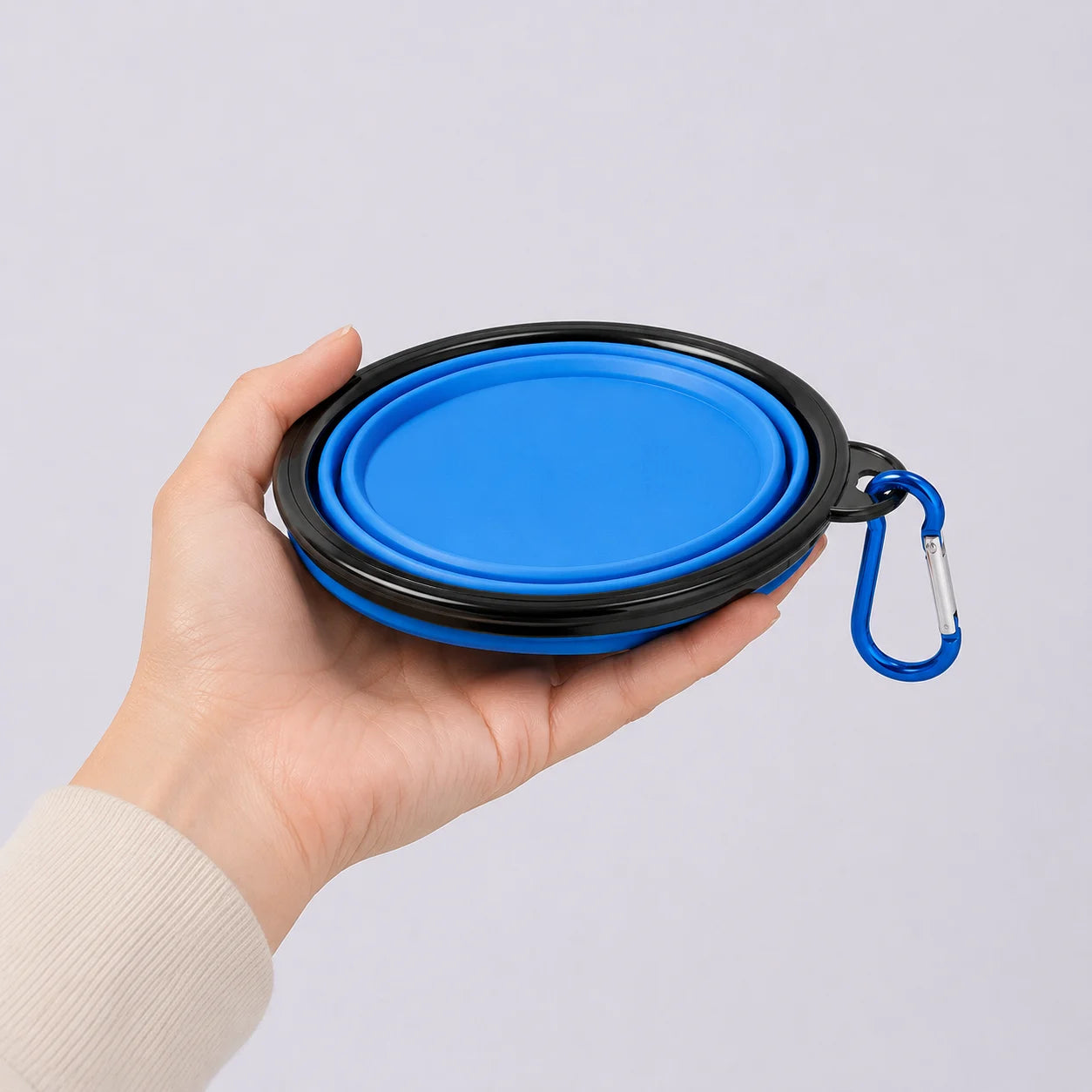 Collapsible Dog Bowl