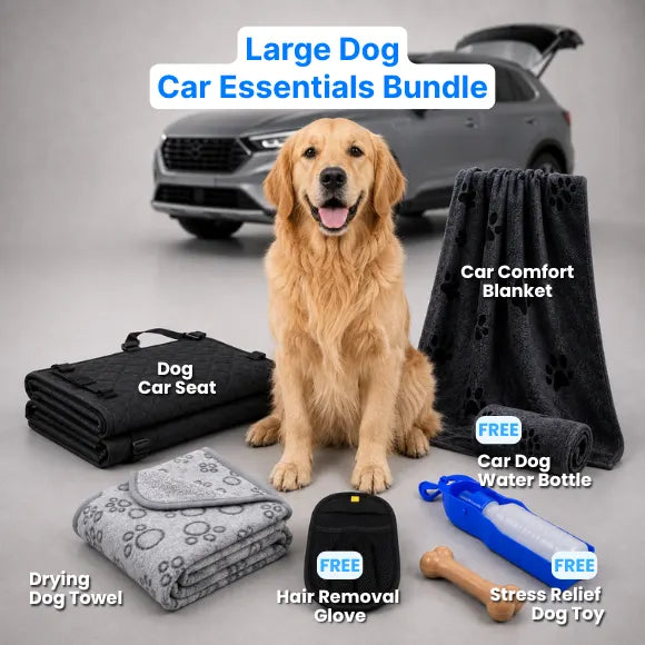 Dog Car Essentials Bundle