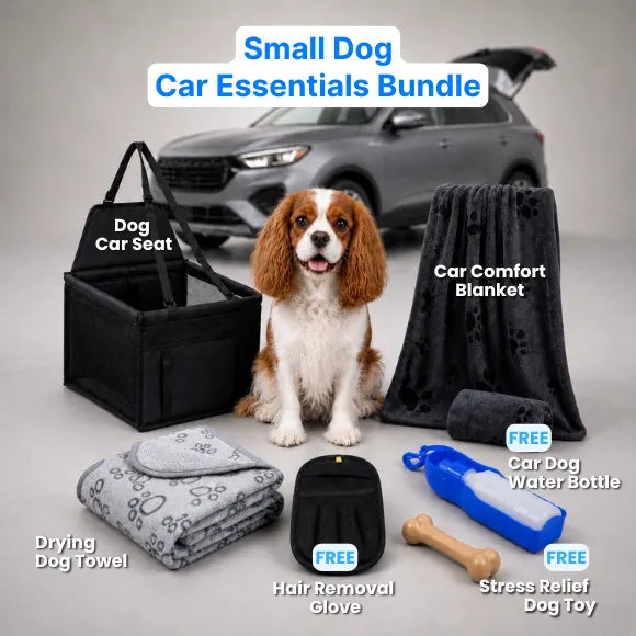 Dog Car Essentials Bundle