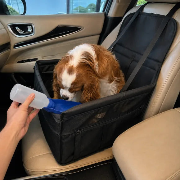 Car Dog Water Bottle