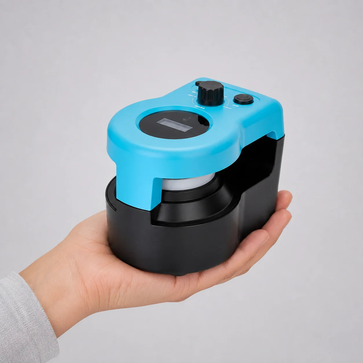 Interactive Chase Dog Toy