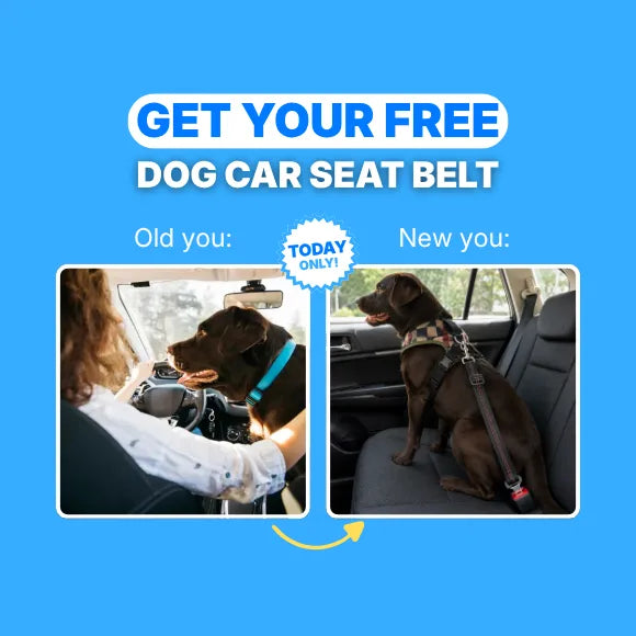 FREE Dog Car Seat Belt